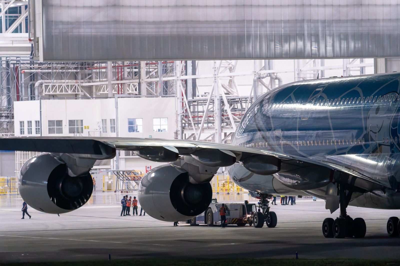 Aircraft inspection